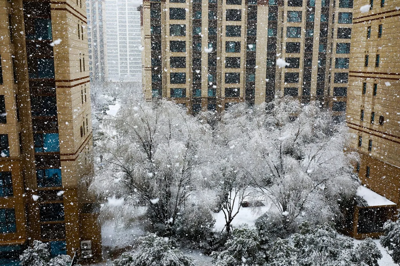 雪