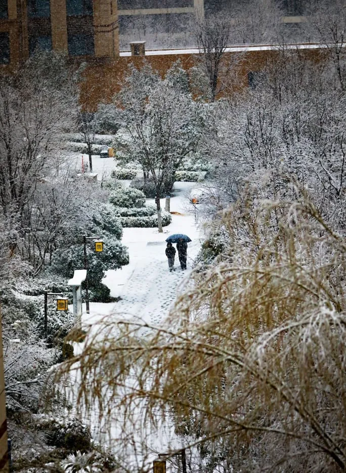 雪中打伞的两个人