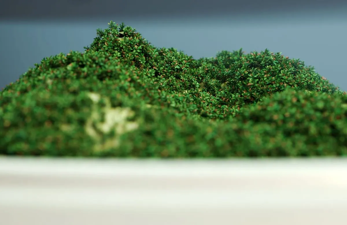 茶艺香薰机设计